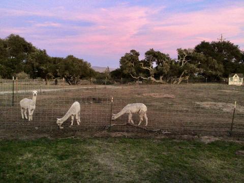 2570 Wild Oak Rd, Lompoc, CA 93436 photo 22
