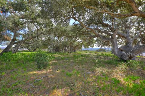 2570 Wild Oak Rd, Lompoc, CA 93436 photo 14