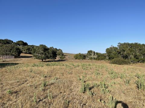 2770 Flora, Lompoc, CA 93436 photo 30