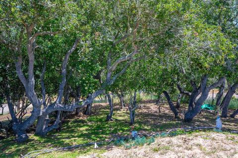 3472 Via Dona, Lompoc, CA 93436 photo 43