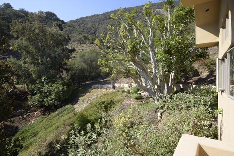 1984 Arriba St, Carpinteria, CA 93013 photo 36