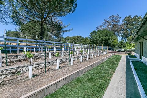 5375 Campbell Rd, Lompoc, CA 93436 photo 28