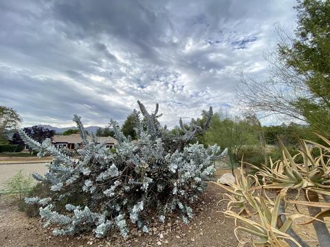 12386 Linda Flora Dr, Ojai, CA 93023 photo 40