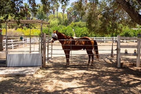 1239 Cuyama Rd, Ojai, CA 93023 photo 24