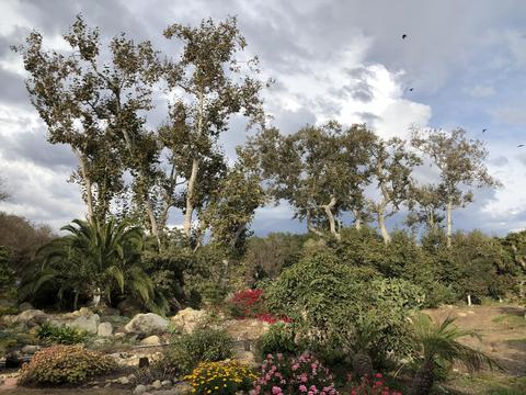 3910 Foothill Rd, Carpinteria, CA 93013 photo 5
