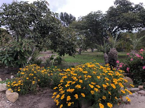 3910 Foothill Rd, Carpinteria, CA 93013 photo 6