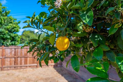 516 N O St, Lompoc, CA 93436 photo 10