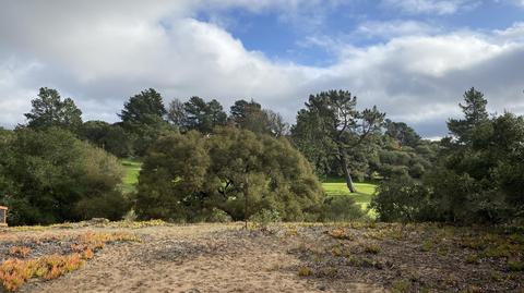 619 Burning Tree Way, Lompoc, CA 93436 photo 2