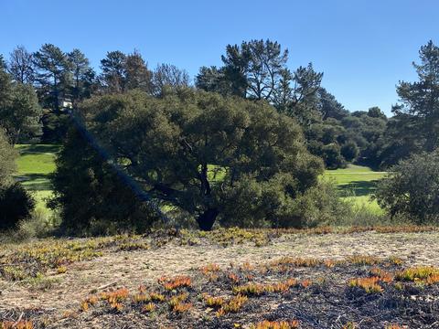 619 Burning Tree Way, Lompoc, CA 93436 photo 31