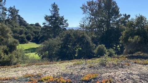 619 Burning Tree Way, Lompoc, CA 93436 photo 29