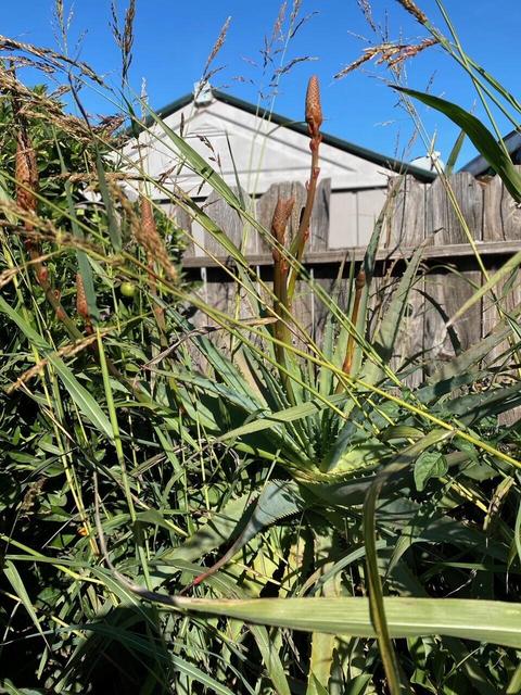 225 N I St, Lompoc, CA 93436 photo 27