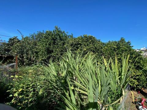 225 N I St, Lompoc, CA 93436 photo 29