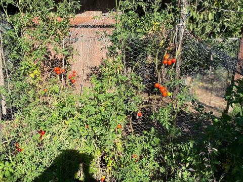 225 N I St, Lompoc, CA 93436 photo 35