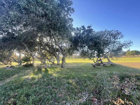 316 Oak Hill Dr, Lompoc, CA 93436 photo 21