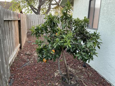 512 Cooper Dr, Lompoc, CA 93436 photo 30