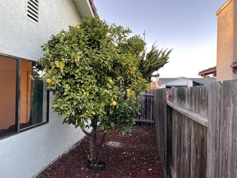 512 Cooper Dr, Lompoc, CA 93436 photo 29