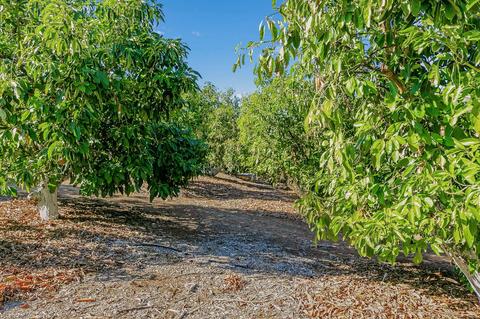 1923 Meiners Rd, Ojai, CA 93023 photo 50