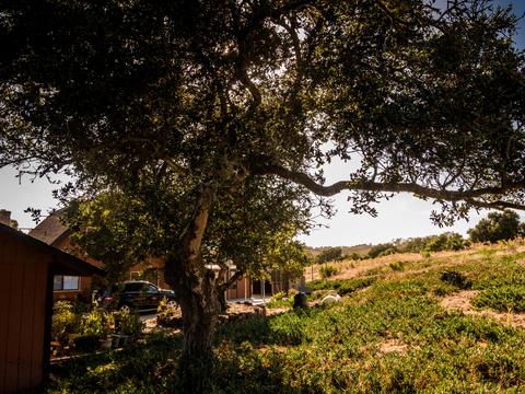 2681 Flora Rd, Lompoc, CA 93436 photo 22