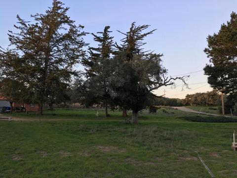 2681 Flora Rd, Lompoc, CA 93436 photo 6