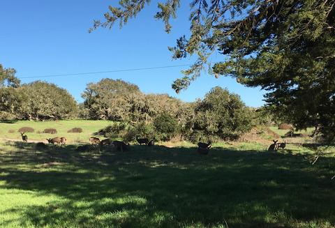 2681 Flora Rd, Lompoc, CA 93436 photo 3