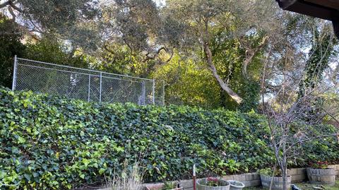 515 Cypress Ct, Lompoc, CA 93436 photo 36