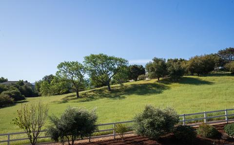 1892 Viborg Rd, Solvang, CA 93463 photo 30