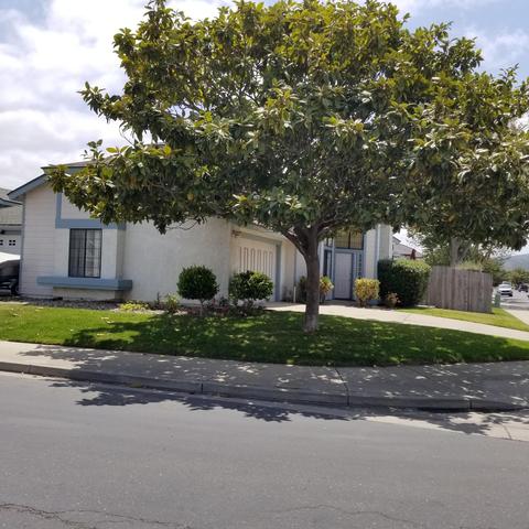 1320 Aster Ln, Lompoc, CA 93436 photo 3