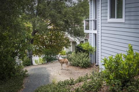 724 Hillside Dr, Solvang, CA 93463 photo 16