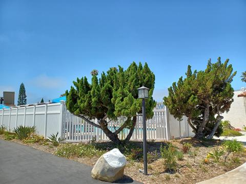 6180 Via Real #92, Carpinteria, CA 93013 photo 26