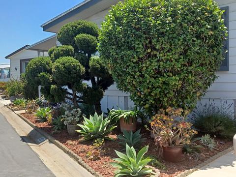 6180 Via Real #92, Carpinteria, CA 93013 photo 2