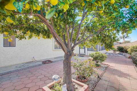 1041 Kumquat Pl, Oxnard, CA 93036 photo 37