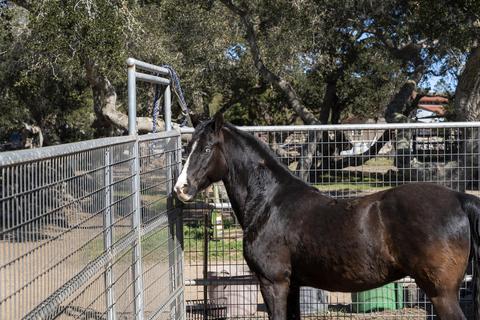 2585 Wild Oak Rd, Lompoc, CA 93436 photo 27