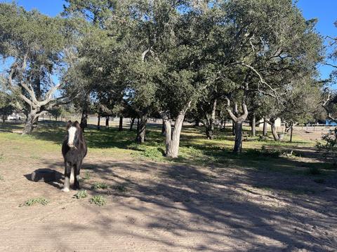 2585 Wild Oak Rd, Lompoc, CA 93436 photo 14