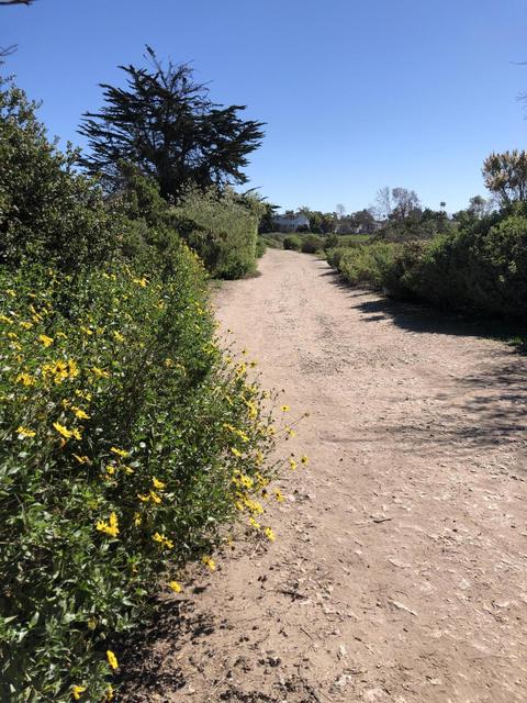 4527 Carpinteria Ave #A, Carpinteria, CA 93013 photo 3