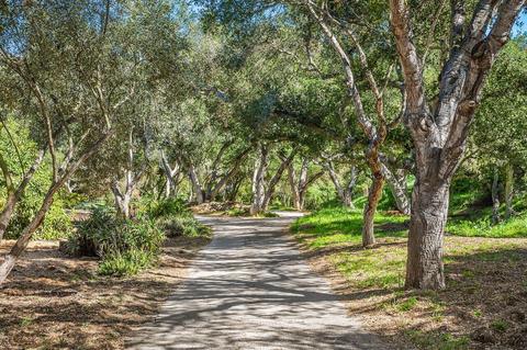 6818 Shepard Mesa Rd, Carpinteria, CA 93013 photo 30