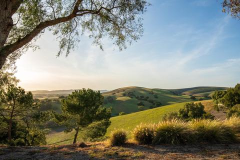 2560 Pommel Dr, Santa Ynez, CA 93460 photo 24