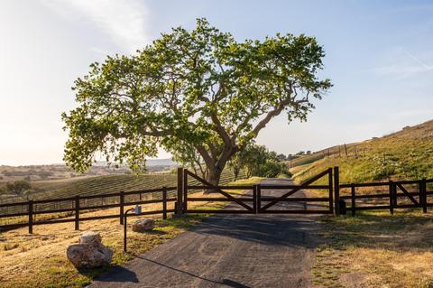 2560 Pommel Dr, Santa Ynez, CA 93460 photo 28