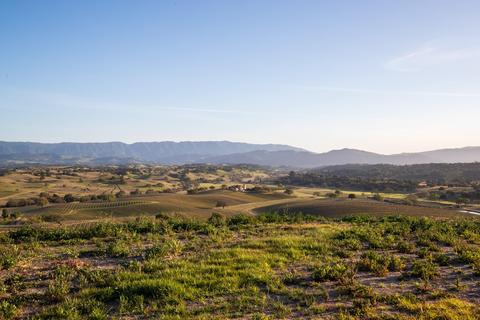 2560 Pommel Dr, Santa Ynez, CA 93460 photo 25