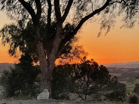 2560 Pommel Dr, Santa Ynez, CA 93460 photo 27