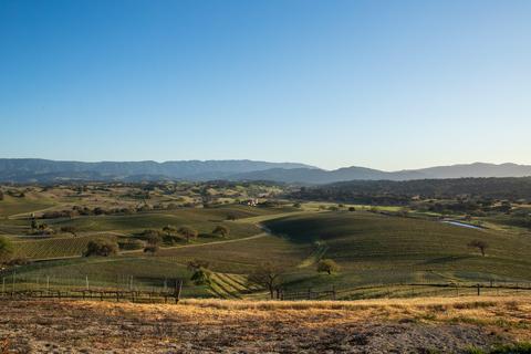 2560 Pommel Dr, Santa Ynez, CA 93460 photo 6