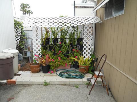 520 Pine Ave #33, Goleta, CA 93117 photo 13