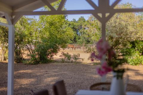 12117 Chumash Rd, Ojai, CA 93023 photo 23