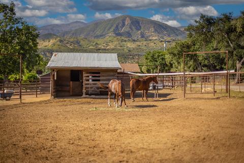 12117 Chumash Rd, Ojai, CA 93023 photo 30