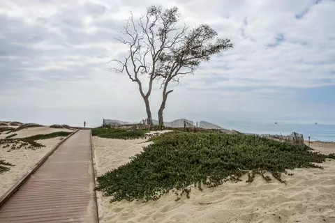 4264 Carpinteria Ave #2, Carpinteria, CA 93013 photo 23