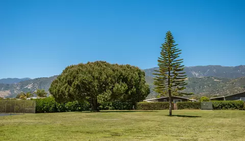 3950 Via Real #207, Carpinteria, CA 93013 photo 30