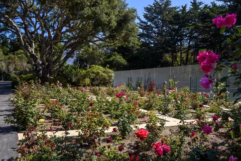 1330 Plaza Pacifica, Montecito, CA 93108 photo 30