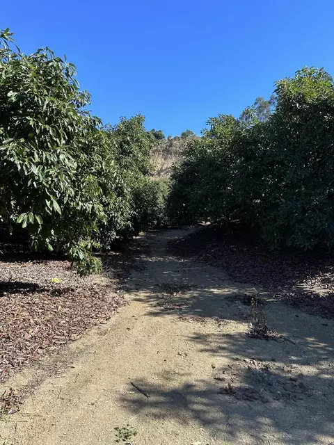 6500 Casitas Pass Rd, Carpinteria, CA 93014 photo 11