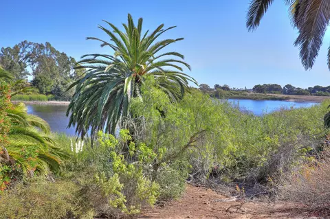 6284 Parkhurst Dr, Goleta, CA 93117 photo 27
