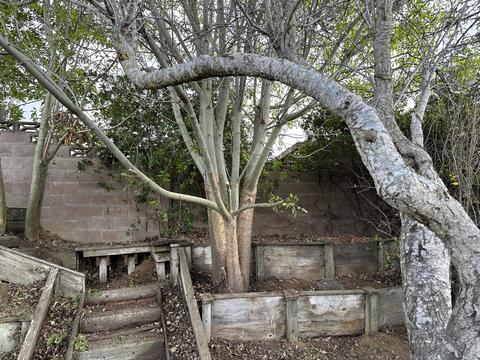 100 Princeton Pl, Lompoc, CA 93436 photo 40