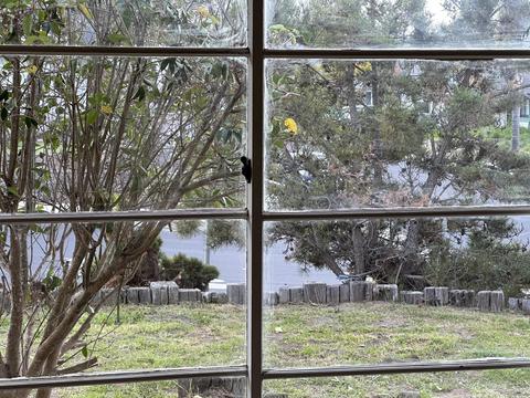 100 Princeton Pl, Lompoc, CA 93436 photo 35